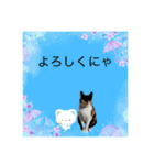 Memeちゃんスタンプ 2025夏（個別スタンプ：23）