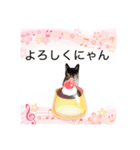 Memeちゃんスタンプ 2025夏（個別スタンプ：24）