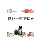 Memeちゃんスタンプ 2025夏（個別スタンプ：25）