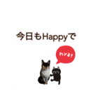 Memeちゃんスタンプ 2025夏（個別スタンプ：26）