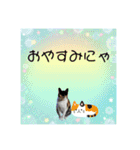 Memeちゃんスタンプ 2025夏（個別スタンプ：27）