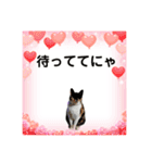 Memeちゃんスタンプ 2025夏（個別スタンプ：28）