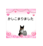 Memeちゃんスタンプ 2025夏（個別スタンプ：31）