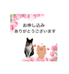 Memeちゃんスタンプ 2025夏（個別スタンプ：33）