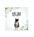Memeちゃんスタンプ 2025夏（個別スタンプ：35）