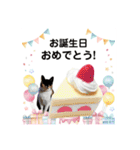 Memeちゃんスタンプ 2025夏（個別スタンプ：40）