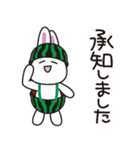 白ウサギの夏（個別スタンプ：15）
