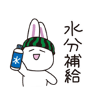 白ウサギの夏（個別スタンプ：17）