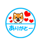 ずーっと使える吉祥寺柴犬ハンコ型スタンプ（個別スタンプ：3）
