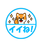 ずーっと使える吉祥寺柴犬ハンコ型スタンプ（個別スタンプ：6）