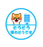 ずーっと使える吉祥寺柴犬ハンコ型スタンプ（個別スタンプ：15）