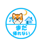 ずーっと使える吉祥寺柴犬ハンコ型スタンプ（個別スタンプ：16）