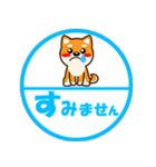 ずーっと使える吉祥寺柴犬ハンコ型スタンプ（個別スタンプ：21）