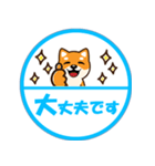 ずーっと使える吉祥寺柴犬ハンコ型スタンプ（個別スタンプ：22）