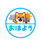 ずーっと使える吉祥寺柴犬ハンコ型スタンプ（個別スタンプ：24）
