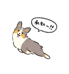 今日もコーギーが可愛い2（個別スタンプ：3）