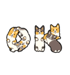 今日もコーギーが可愛い2（個別スタンプ：4）