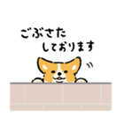 今日もコーギーが可愛い2（個別スタンプ：11）