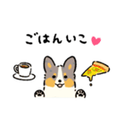今日もコーギーが可愛い2（個別スタンプ：14）