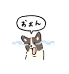 今日もコーギーが可愛い2（個別スタンプ：21）