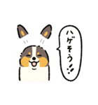 今日もコーギーが可愛い2（個別スタンプ：22）