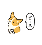 今日もコーギーが可愛い2（個別スタンプ：25）