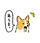 今日もコーギーが可愛い2（個別スタンプ：27）