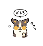 今日もコーギーが可愛い2（個別スタンプ：30）