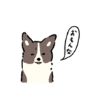 今日もコーギーが可愛い2（個別スタンプ：31）