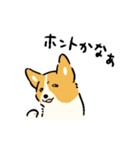 今日もコーギーが可愛い2（個別スタンプ：34）