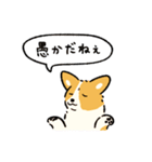今日もコーギーが可愛い2（個別スタンプ：36）