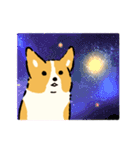 今日もコーギーが可愛い2（個別スタンプ：40）