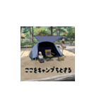 キャンプステッカー イザナさんVer.（個別スタンプ：5）