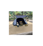 キャンプステッカー イザナさんVer.（個別スタンプ：12）