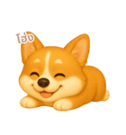 ワンだふる｜コーギー【タイ語】（個別スタンプ：3）