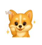 ワンだふる｜コーギー【タイ語】（個別スタンプ：9）