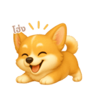 ワンだふる｜コーギー【タイ語】（個別スタンプ：11）
