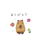 カピバラで基本のスタンプ（個別スタンプ：28）