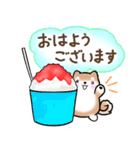 【夏】日常挨拶✴︎気遣い✴︎まるまる豆柴（個別スタンプ：1）