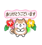 【夏】日常挨拶✴︎気遣い✴︎まるまる豆柴（個別スタンプ：5）