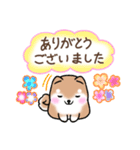 【夏】日常挨拶✴︎気遣い✴︎まるまる豆柴（個別スタンプ：7）