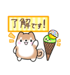 【夏】日常挨拶✴︎気遣い✴︎まるまる豆柴（個別スタンプ：10）