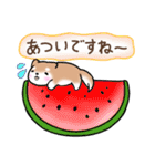 【夏】日常挨拶✴︎気遣い✴︎まるまる豆柴（個別スタンプ：13）
