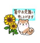【夏】日常挨拶✴︎気遣い✴︎まるまる豆柴（個別スタンプ：15）