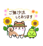 【夏】日常挨拶✴︎気遣い✴︎まるまる豆柴（個別スタンプ：16）
