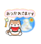 【夏】日常挨拶✴︎気遣い✴︎まるまる豆柴（個別スタンプ：18）