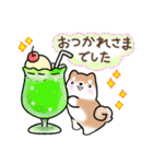 【夏】日常挨拶✴︎気遣い✴︎まるまる豆柴（個別スタンプ：19）