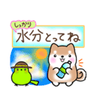 【夏】日常挨拶✴︎気遣い✴︎まるまる豆柴（個別スタンプ：21）