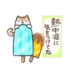 【夏】日常挨拶✴︎気遣い✴︎まるまる豆柴（個別スタンプ：22）