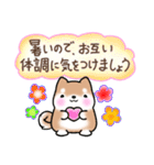【夏】日常挨拶✴︎気遣い✴︎まるまる豆柴（個別スタンプ：23）